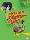 Image for Can You Tell an Ostrich from an Emu?
