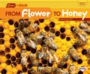 Image for From Flower to Honey