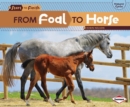 Image for From foal to horse