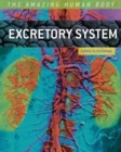 Image for Excretory System
