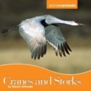 Image for Cranes and Storks