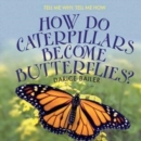 Image for How Do Caterpillars Become Butterflies?