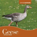Image for Geese