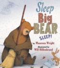 Image for Sleep, Big Bear, Sleep!