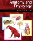 Image for Anatomy and Physiology: An Illustrated Guide