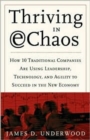 Image for Thriving in E-chaos