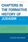 Image for Chapters in the Formative History of Judaism