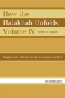 Image for How the Halakhah Unfolds : Hagigah in the Mishnah, Tosefta, Yerushalmi, and Bavli