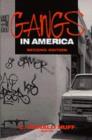 Image for Gangs in America