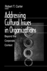 Image for Addressing Cultural Issues in Organizations