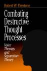 Image for Combating destructive thought processes  : voice therapy and separation theory