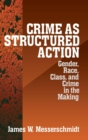 Image for Crime as structured action  : gender, race, class and crime in the making