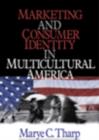Image for Marketing and Consumer Identity in Multicultural America