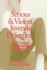 Image for Serious and violent juvenile offenders  : risk factors and successful interventions