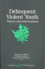 Image for Delinquent Violent Youth : Theory and Interventions