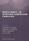 Image for Resiliency in African-American Families