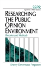 Image for Researching the Public Opinion Environment