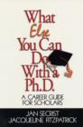 Image for What else you can do with a Ph.D  : a career guide for scholars