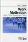 Image for Work Motivation