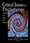 Image for Critical Issues in Psychotherapy
