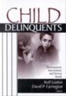 Image for Child delinquents  : development, intervention, and service needs