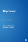 Image for Depression  : a primer for practitioners