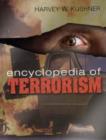 Image for Encyclopedia of terrorism