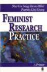 Image for Feminist Research Practice
