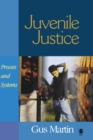 Image for Juvenile justice  : process and systems