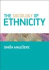 Image for The Sociology of Ethnicity