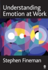Image for Understanding Emotion at Work