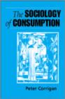 Image for The sociology of consumption  : an introduction