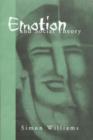 Image for Emotion and Social Theory