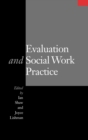 Image for Evaluation and social work practice