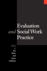 Image for Evaluation and Social Work Practice