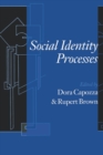 Image for Social identity processes  : trends in theory and research