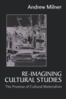 Image for Re-imagining Cultural Studies