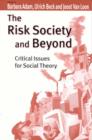 Image for The risk society and beyond  : critical issues for social theory