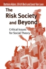 Image for The risk society and beyond  : critical issues for social theory