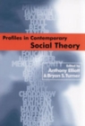 Image for Profiles in Contemporary Social Theory