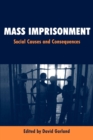 Image for Mass imprisonment  : social causes and consequences