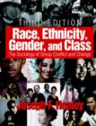 Image for Race, Ethnicity, Gender and Class