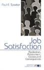 Image for Job Satisfaction