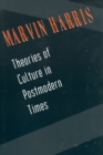 Image for Theories of Culture in Postmodern Times