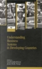 Image for Understanding Business Systems in Developing Countries