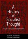 Image for A History of Socialist Thought
