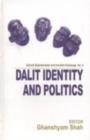 Image for Dalit Identity and Politics