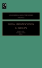 Image for Social identification in groups