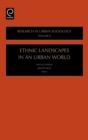 Image for Ethnic landscapes in a global world