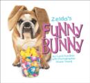 Image for Zelda&#39;s Funny Bunny